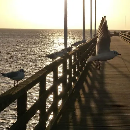 Appartement Meeresrauschen 16 -