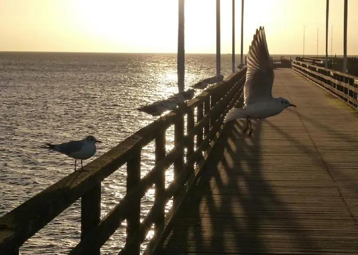 Apartamento Meeresrauschen 16 -